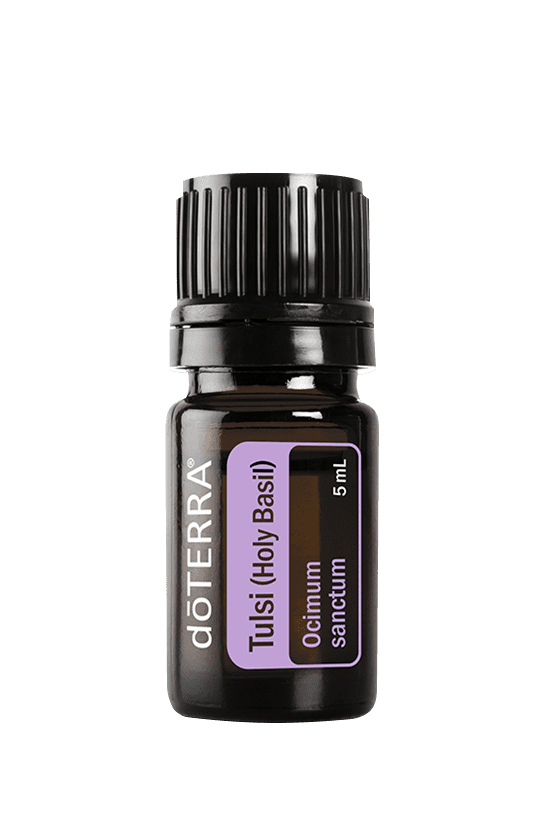 dōTERRA Tulsi Holy Basil (Heilige Basilicum) 5 ml