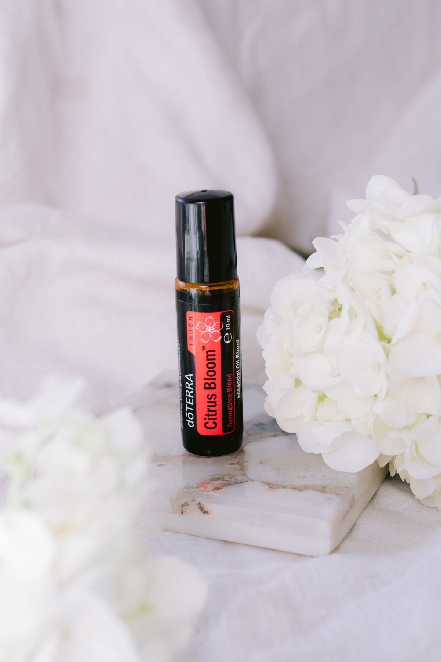 Complete Bogo Bundle