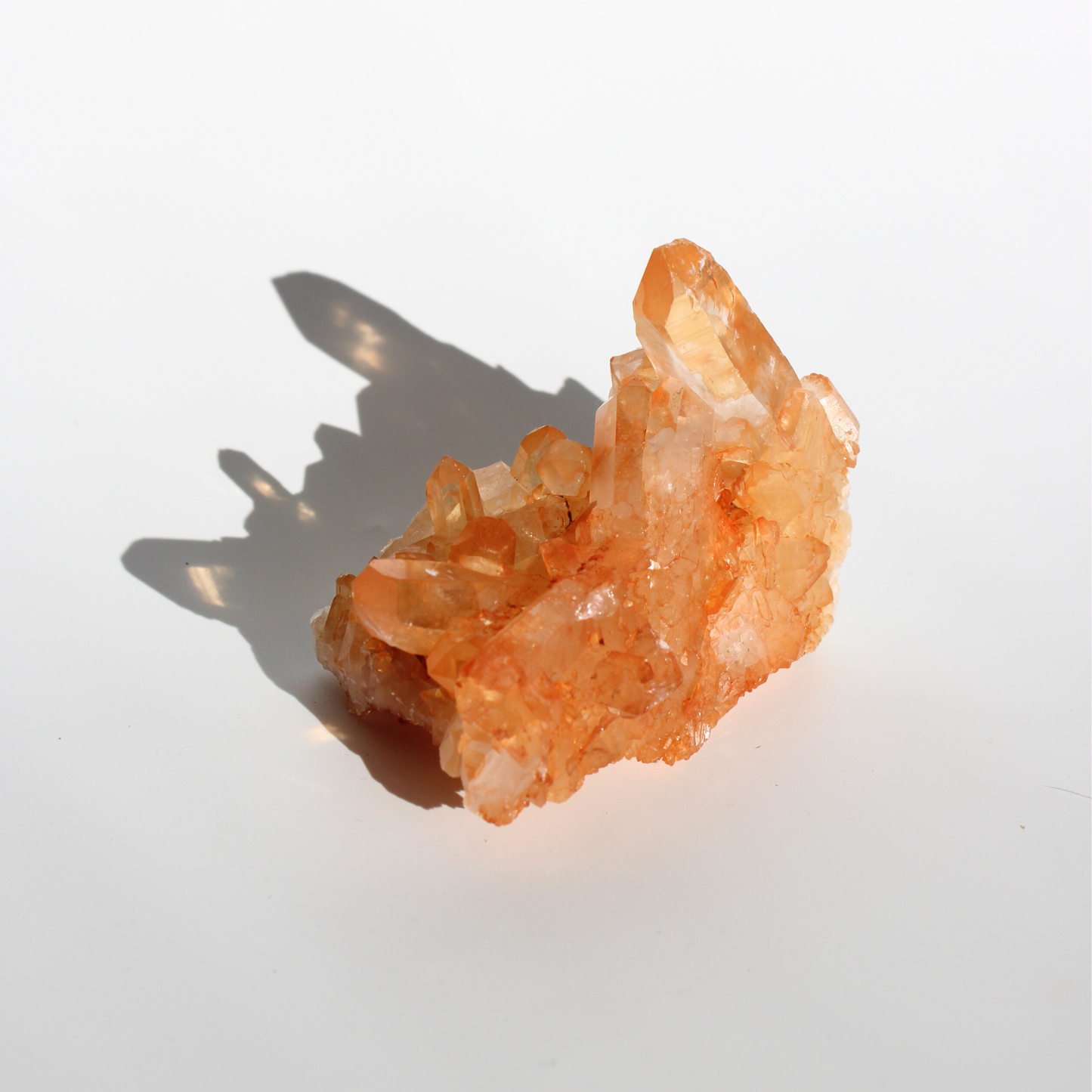 Tangerinekwarts - Cluster