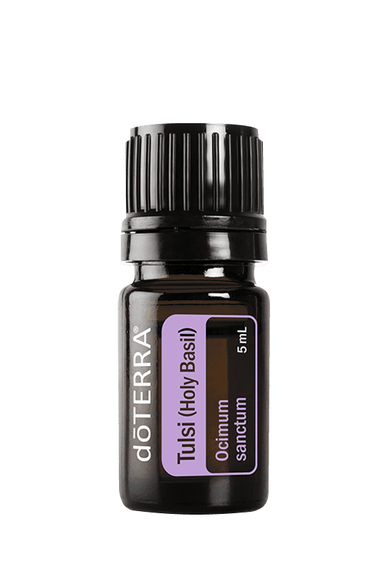 dōTERRA Tulsi Holy Basil (Heilige Basilicum) 5 ml