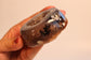 Agaat met dendriet geode - Sieradendoosje