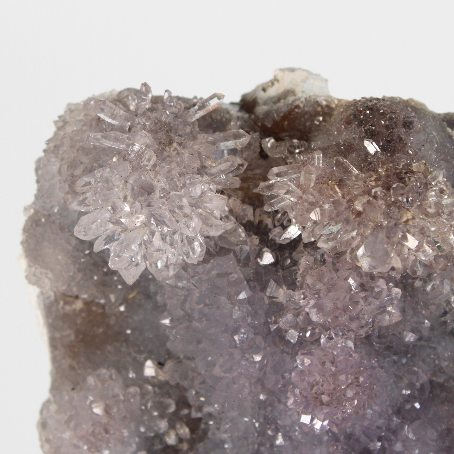 Flower Amethist - Op standaard