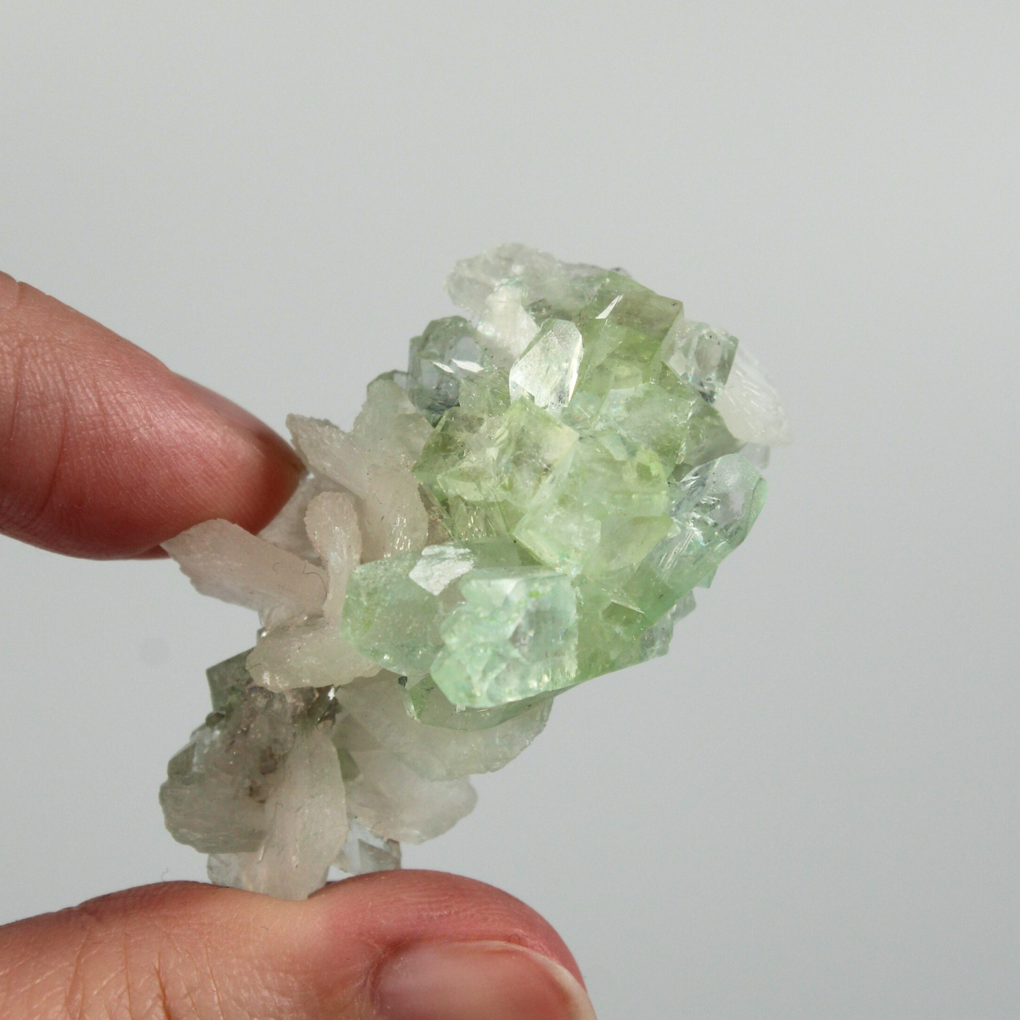 Apofyliet met Stilbiet - Cluster