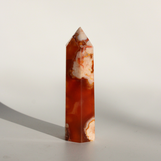 Carneool met Flower Agaat - Punt