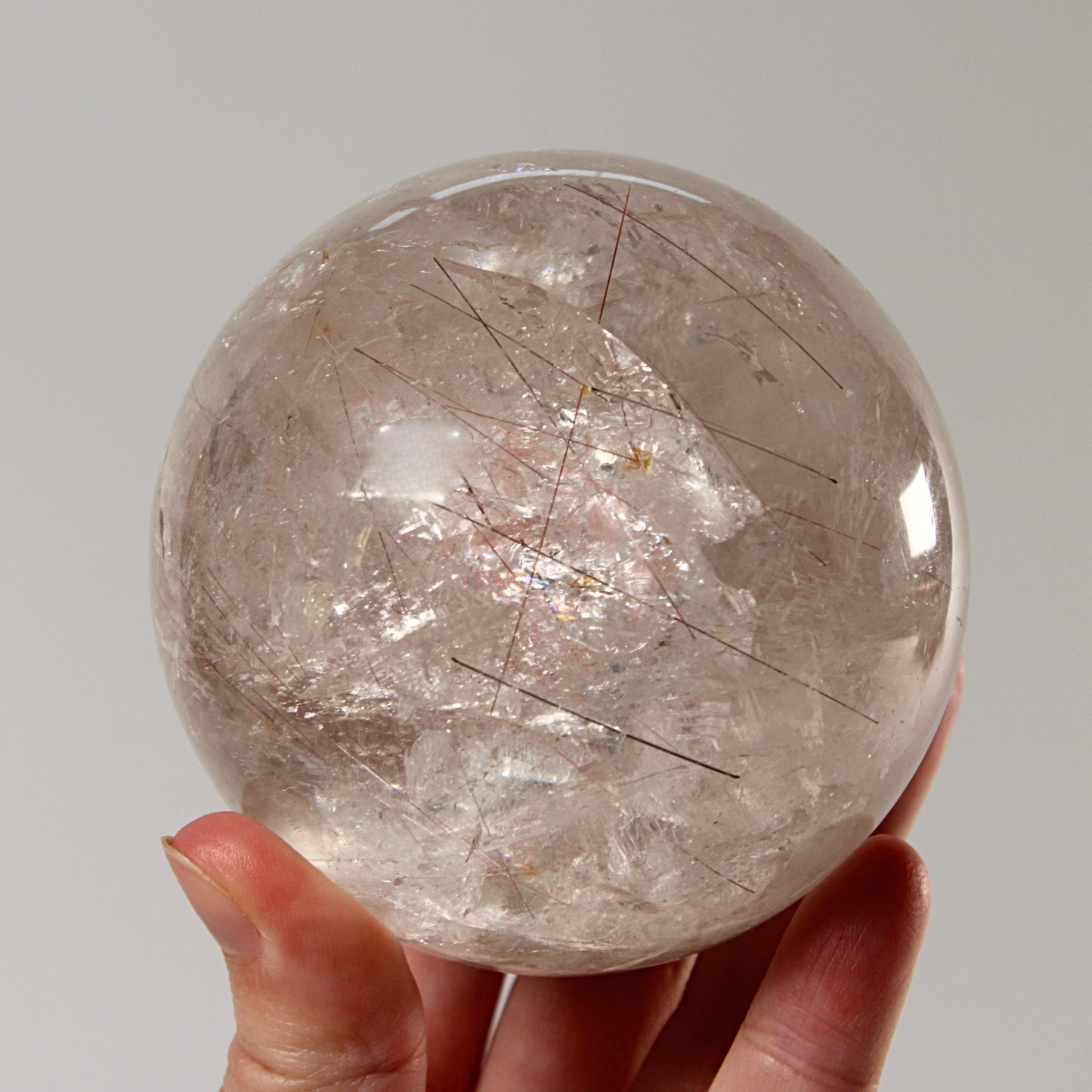 Rutielkwarts - XL Bol