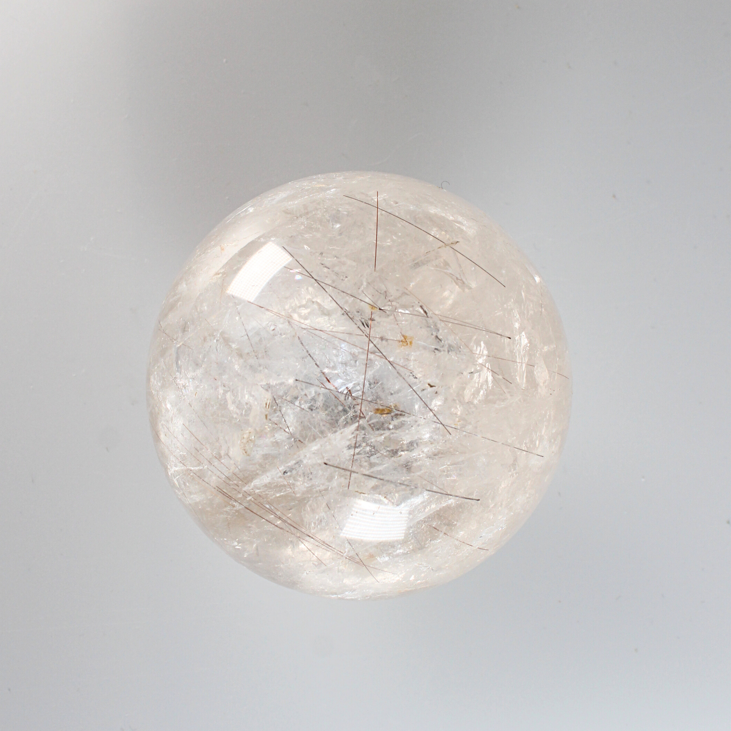 Rutielkwarts - XL Bol