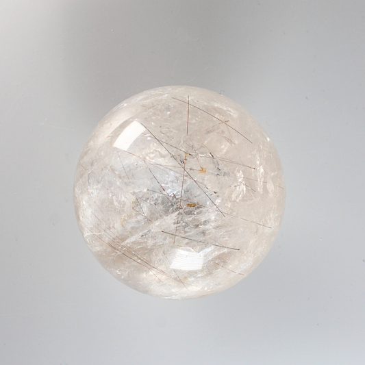 Rutielkwarts - XL Bol