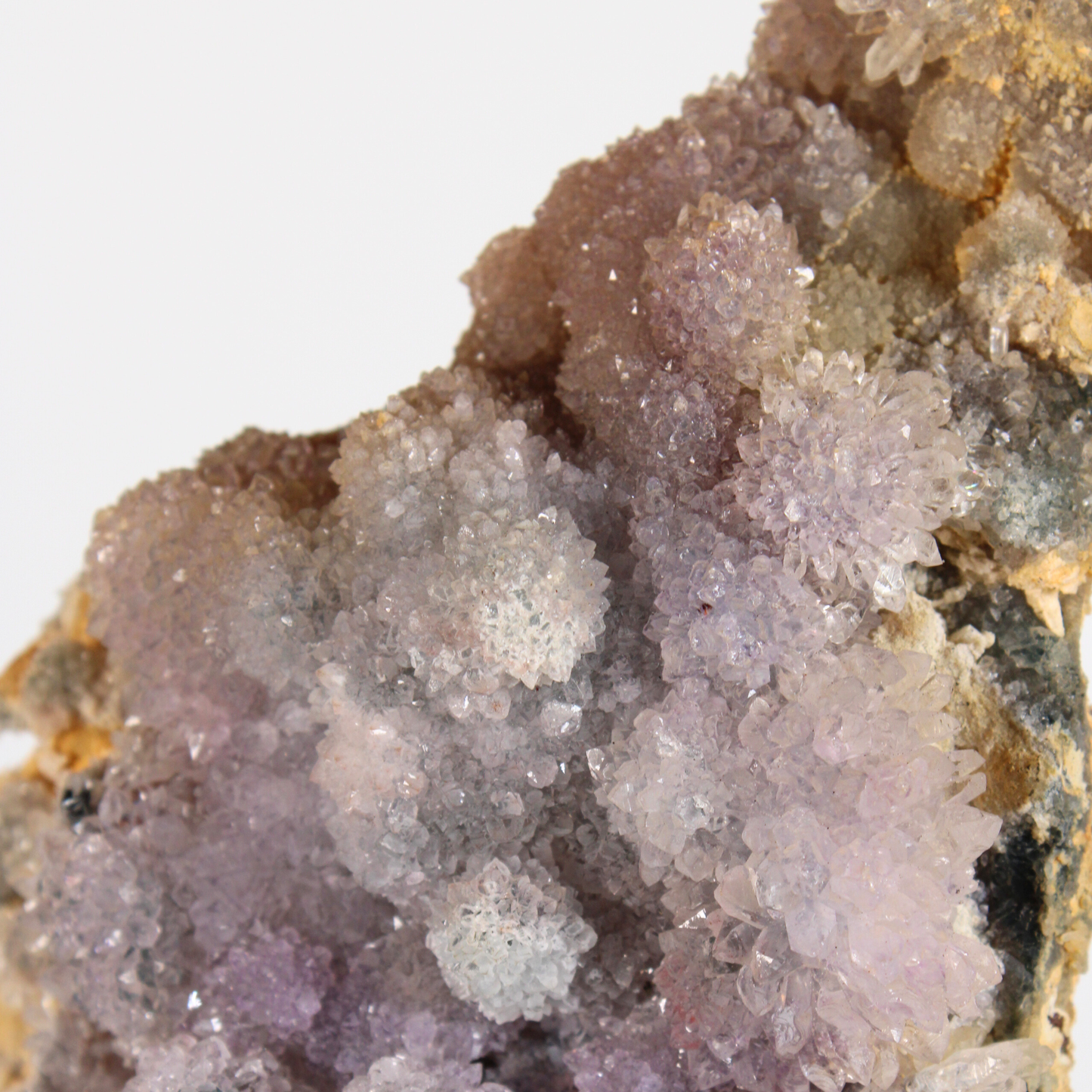 Flower Amethist - Op standaard