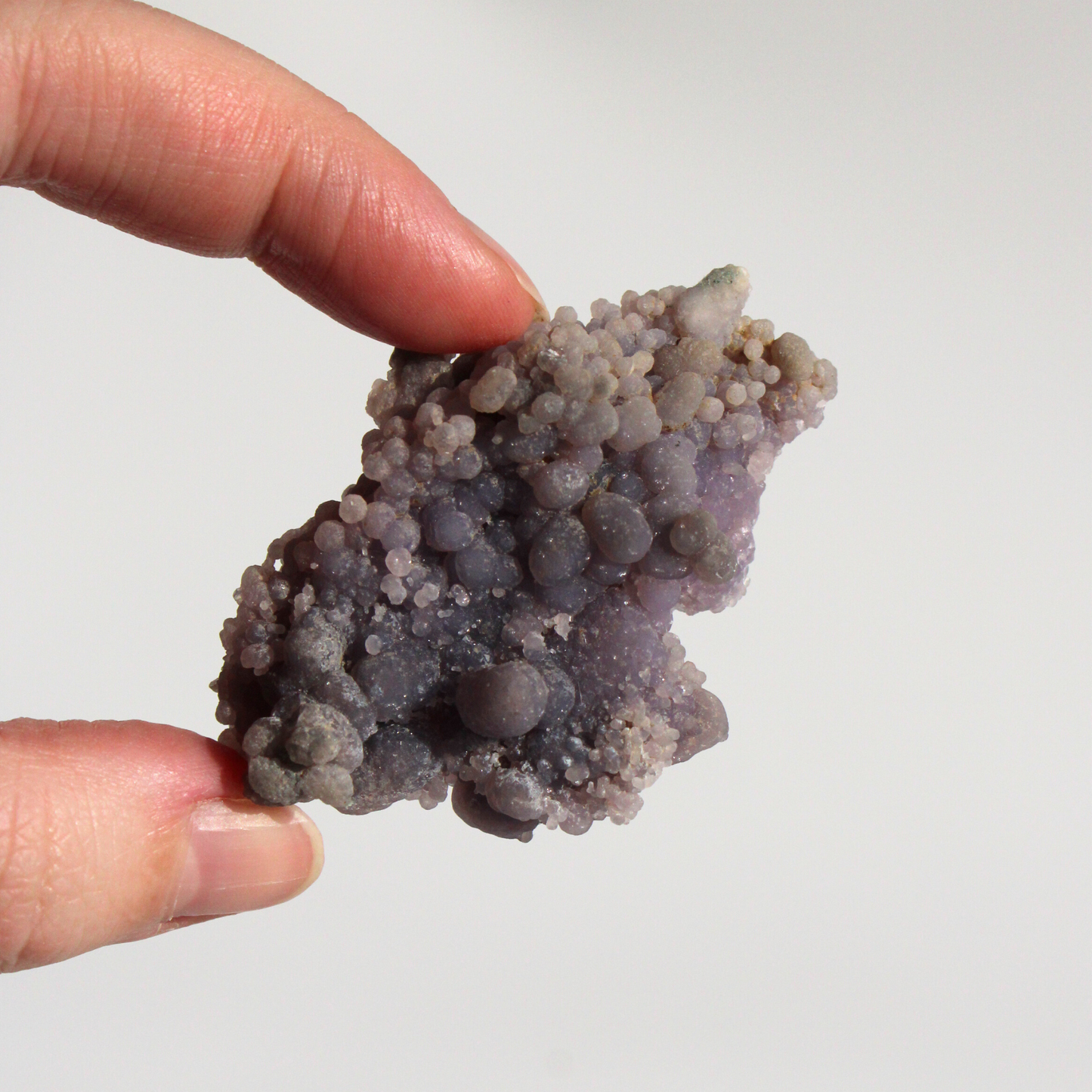 Druifagaat - Cluster