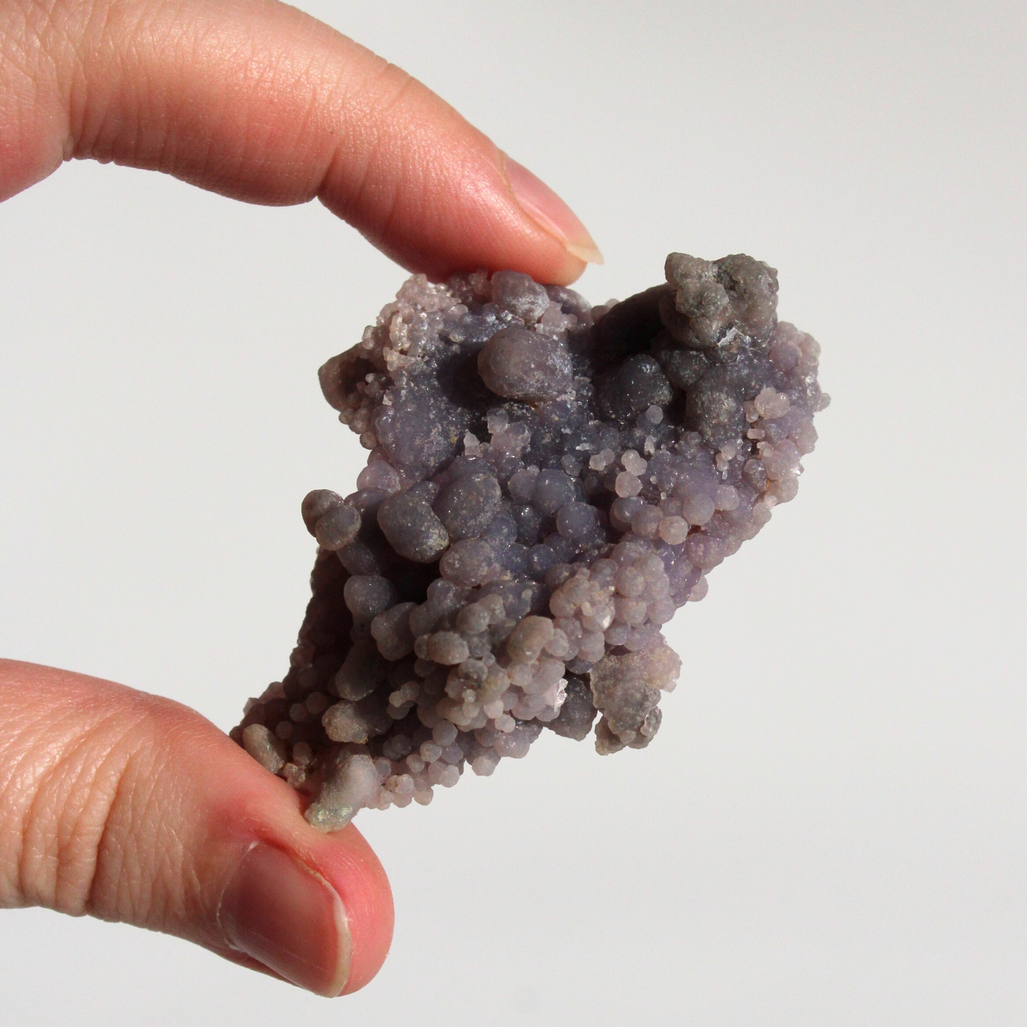 Druifagaat - Cluster