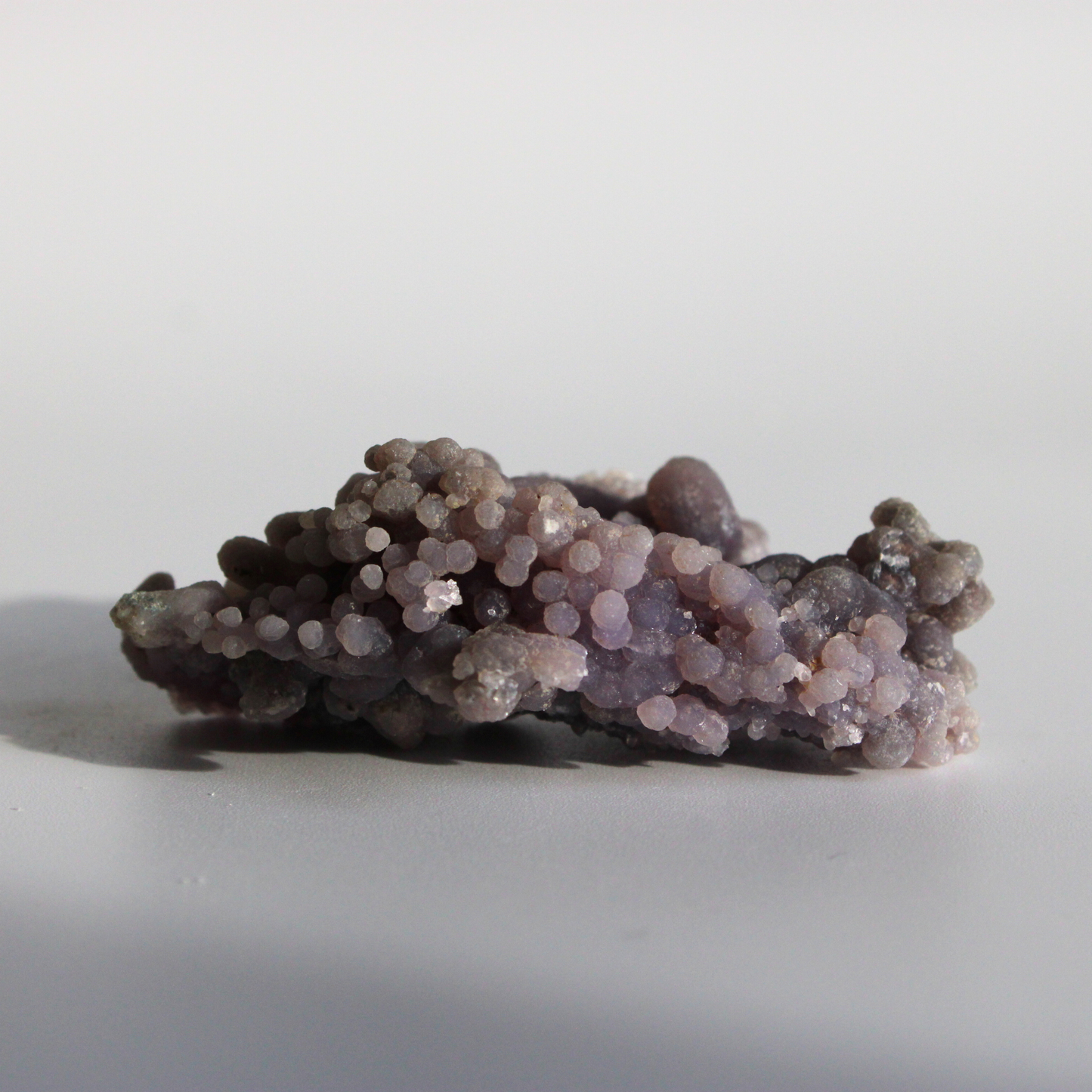 Druifagaat - Cluster