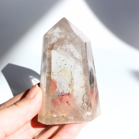 Rookkwarts - Punt
