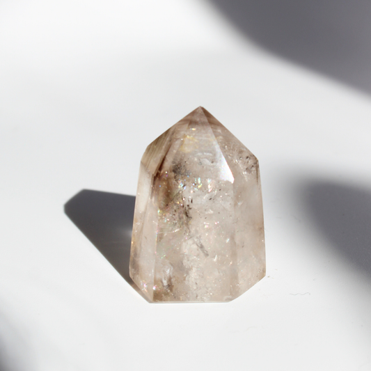 Rookkwarts - Punt