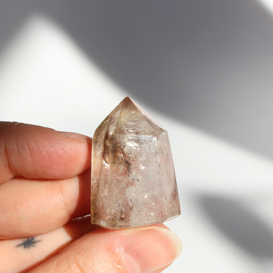 Rookkwarts - Punt