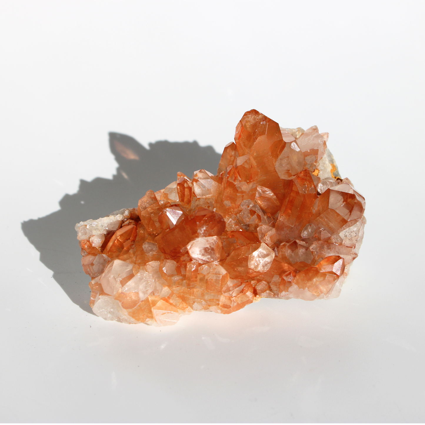 Tangerinekwarts - Cluster