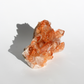 Tangerinekwarts - Cluster