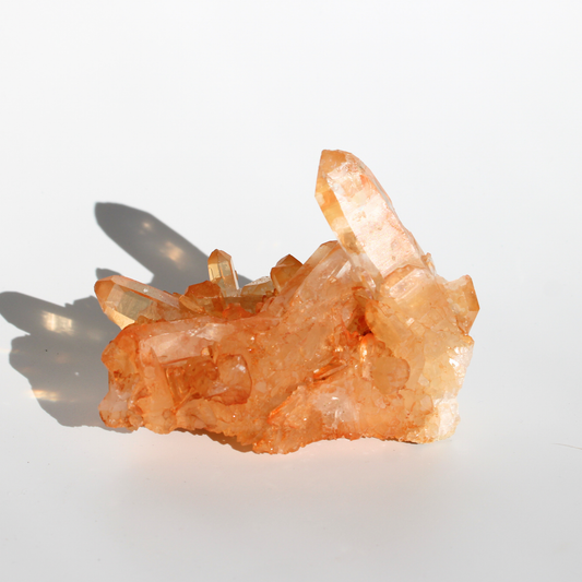 Tangerinekwarts - Cluster