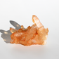 Tangerinekwarts - Cluster
