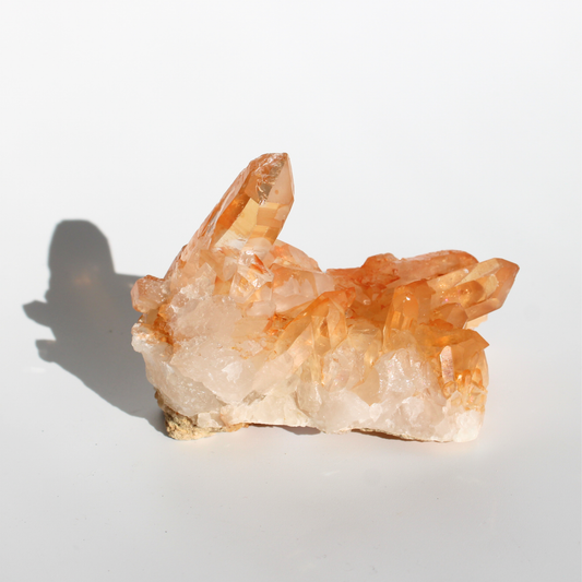 Tangerinekwarts - Cluster