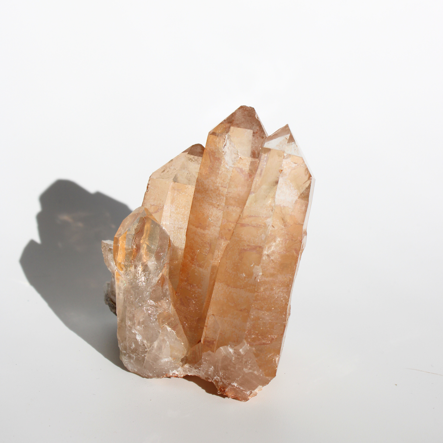 Tangerinekwarts - Cluster