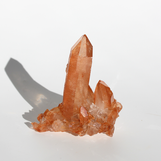 Tangerinekwarts - Cluster