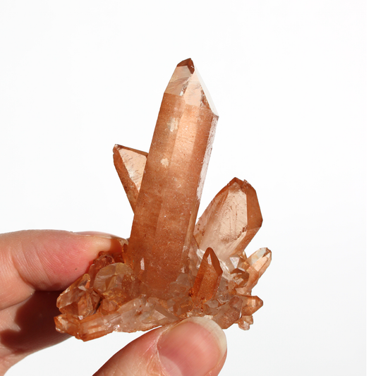 Tangerinekwarts - Cluster