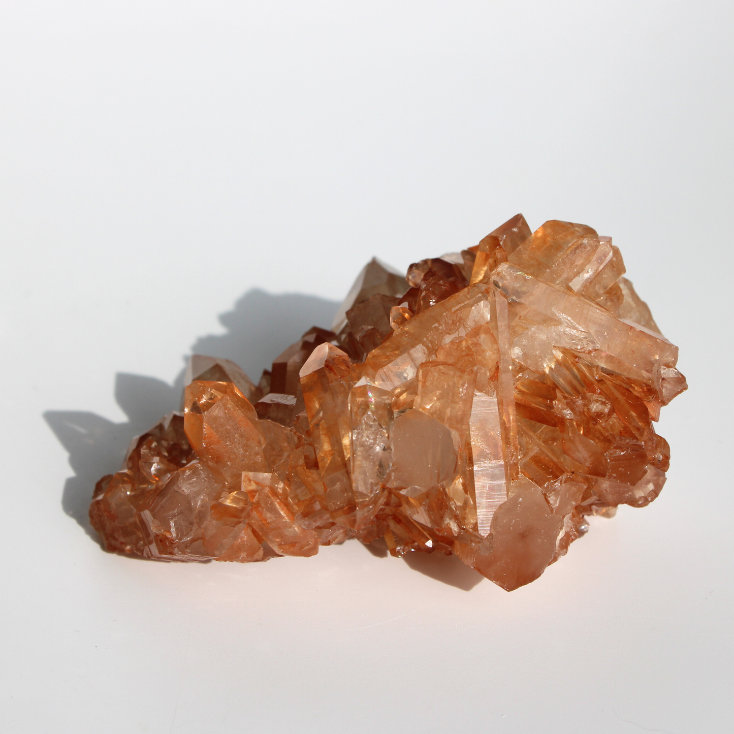 Tangerinekwarts - Cluster