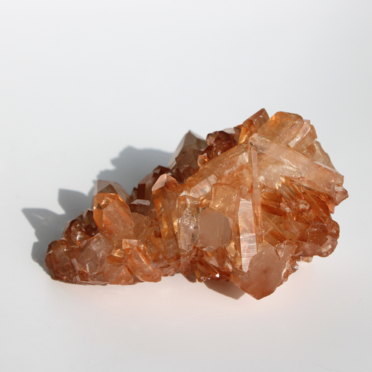 Tangerinekwarts - Cluster