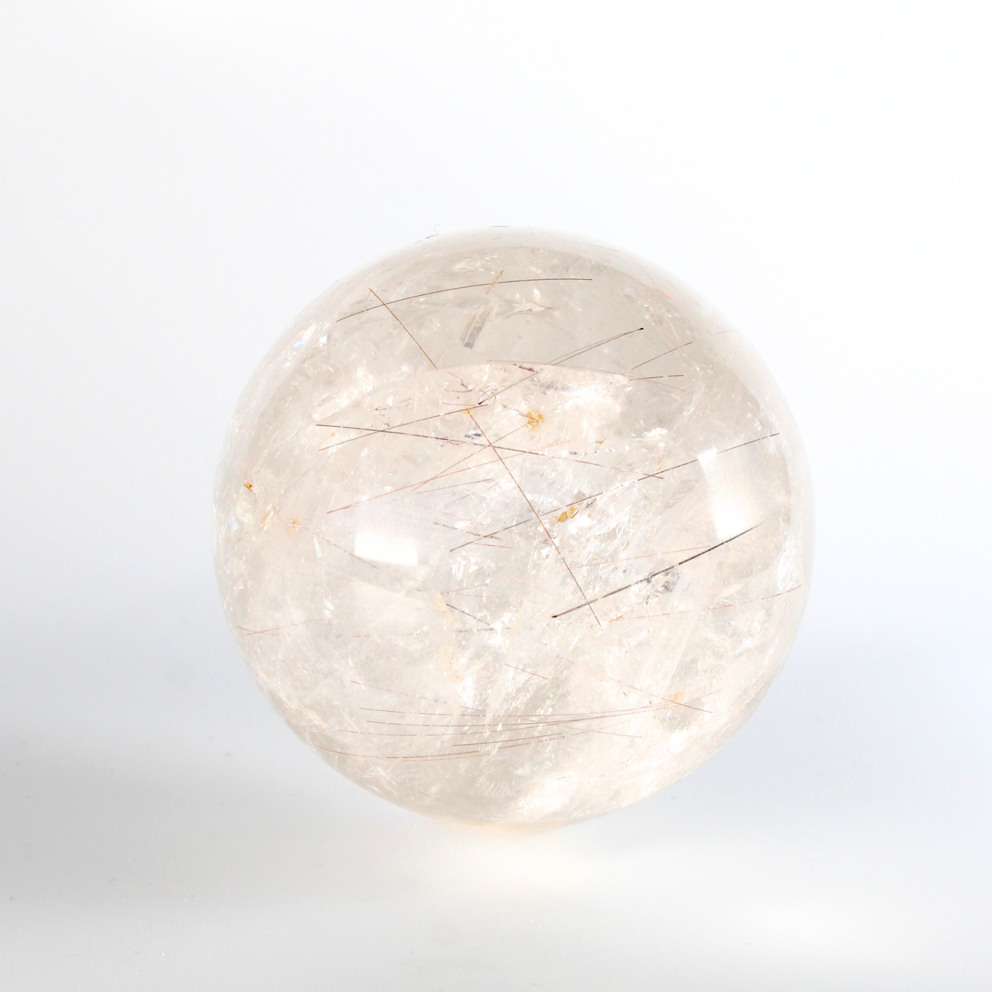 Rutielkwarts - XL Bol