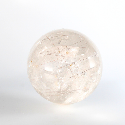 Rutielkwarts - XL Bol