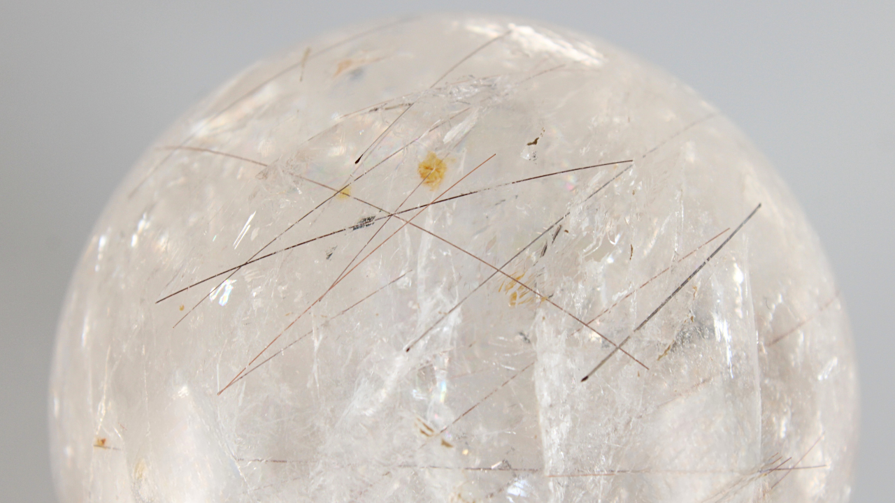 Rutielkwarts - XL Bol